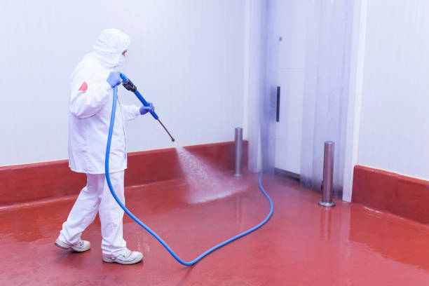 Best Winterizing Services  in Flower Mound, TX